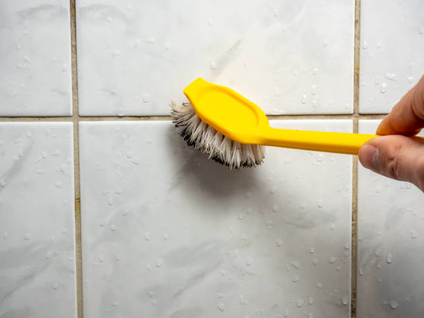 Best Localized Mold Remediation (e.g., coastal areas, humid climates) in Bossier City, LA