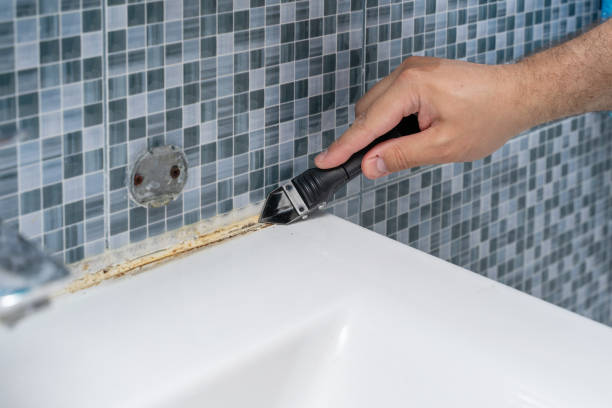 Bossier City, LA Mold Remediation Company